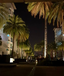 Dahlia Park Condominium (D17), Condominium #539431361